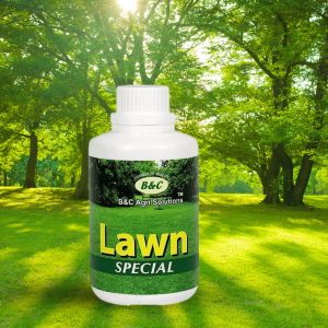Lawn Special Fertilizer