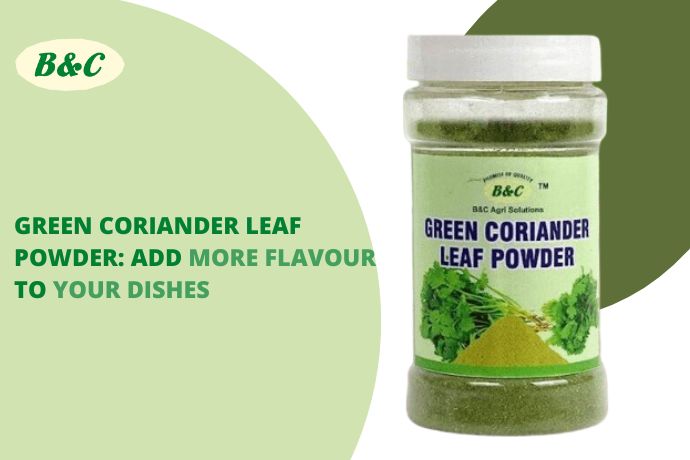 Green Coriander Leaf Powder: Add more flavour to your dishes