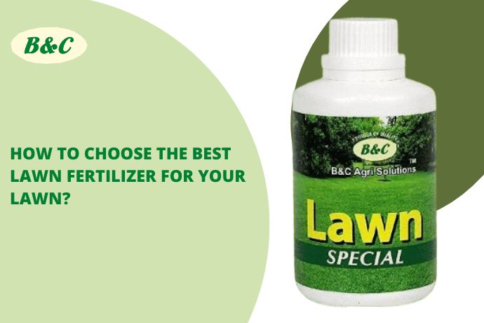 How to choose  the  best Lawn fertilizer for Your lawn?