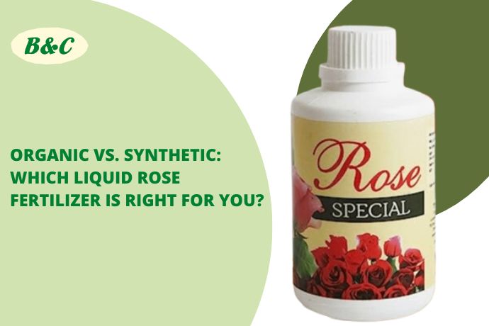 Organic vs. Synthetic: Which Liquid Rose Fertilizer Is Right for You?