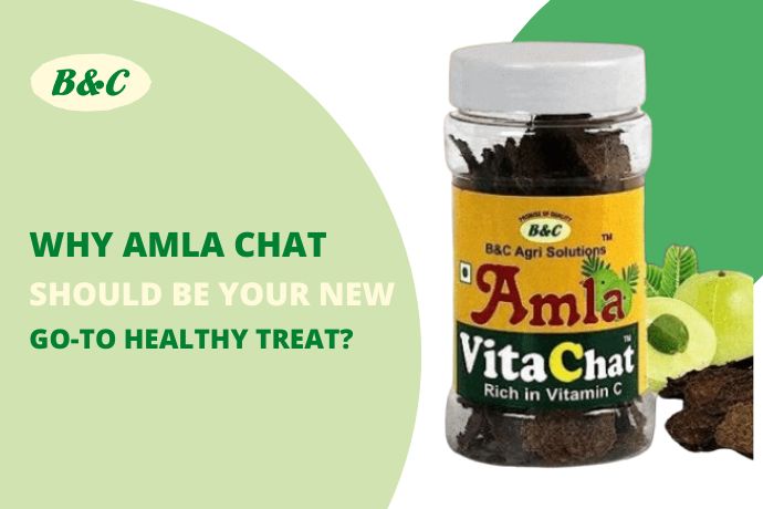Why Amla Chat Should Be Your New Go-To Healthy Treat?