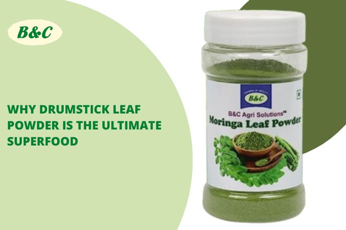 Why Drumstick Leaf Powder Is the Ultimate Superfood