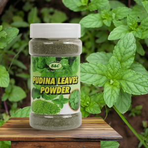 B & C Agri Solutions Pudina Powder | Fresh Mint Leaves Powder |...