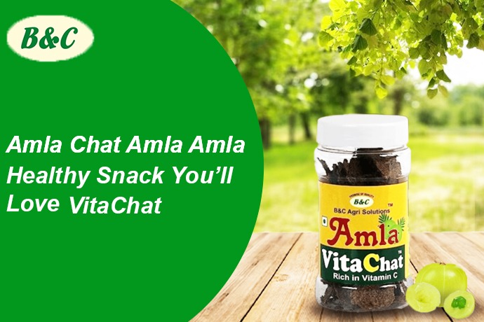 Amla Chat – The Tangy, Healthy Snack You’ll Love | VitaChat
