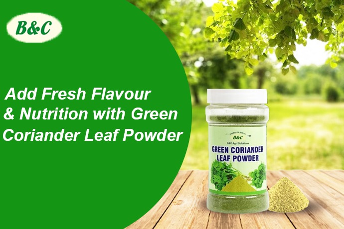 Add Fresh Flavour & Nutrition with Green Coriander Leaf Powder