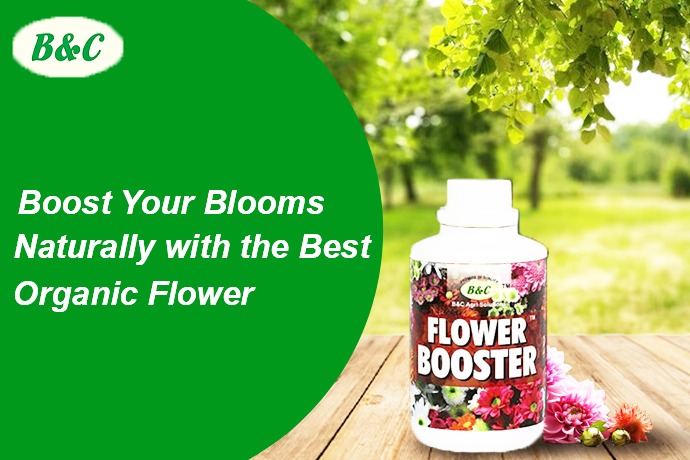 Boost Your Blooms Naturally with the Best Organic Flower Fertilizer