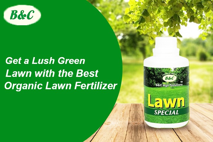 Get a Lush Green Lawn with the Best Organic Lawn Fertilizer