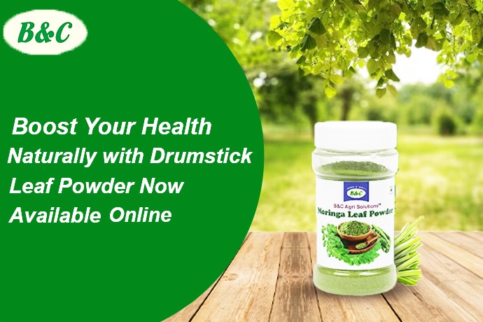 Boost Your Health Naturally with Drumstick Leaf Powder – Now Available Online