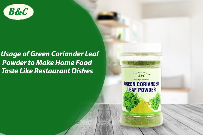 Usage of Green Coriander Leaf Powder to Make Home Food Taste Like Restaurant Dishes