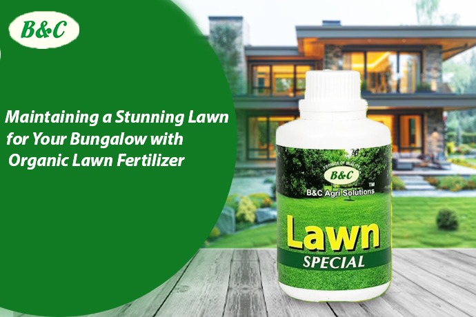Maintaining a Stunning Lawn for Your Bungalow with Organic Lawn Fertilizer