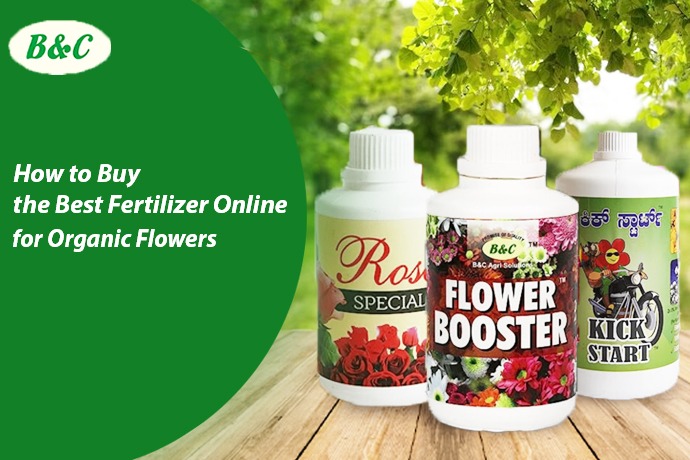 How to Buy the Best Fertilizer Online for Organic Flowers