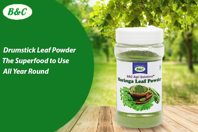 Drumstick Leaf Powder – The Superfood to Use All Year Round