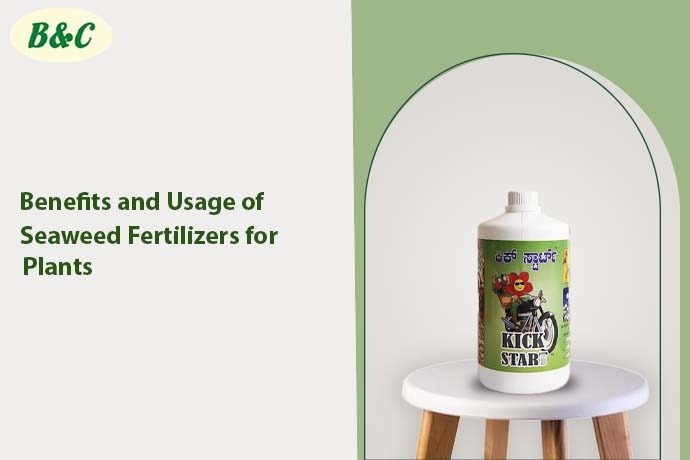 Benefits and Usage of Seaweed Fertilizers for Plants