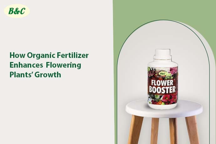 How Organic Fertilizer Enhances Flowering Plants’ Growth