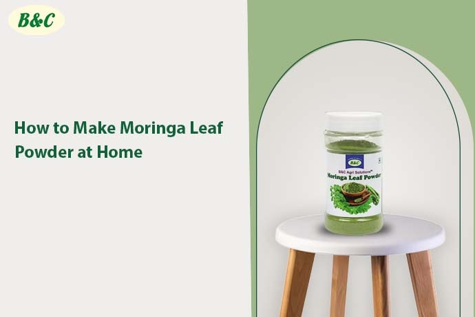 How to Make Moringa Leaf Powder at Home