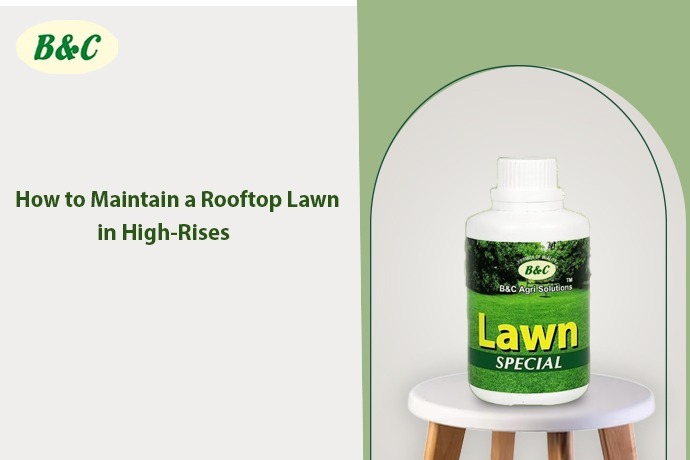 How to Maintain a Rooftop Lawn in High-Rises