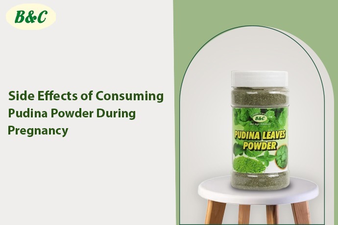 Side Effects of Consuming Pudina Powder During Pregnancy