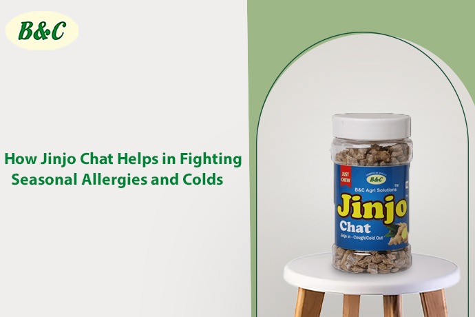 How Jinjo Chat Helps in Fighting Seasonal Allergies and Colds